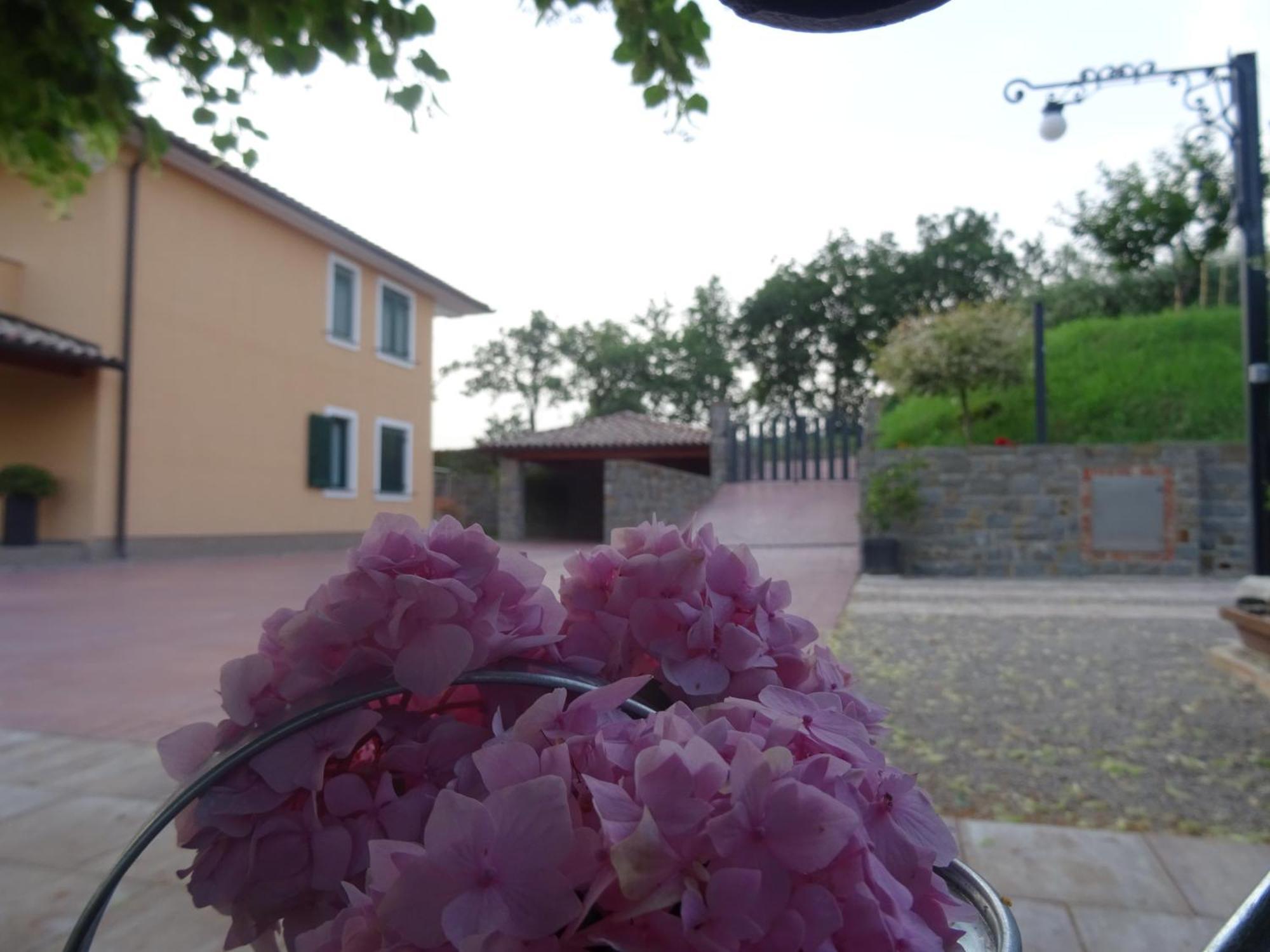 Val&Sol Apartments Secovlje Exterior photo